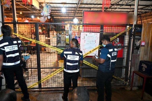 Three Penang Restaurants Shut Down for Rat Droppings and Hygiene Violations in Major Cleanliness Operation